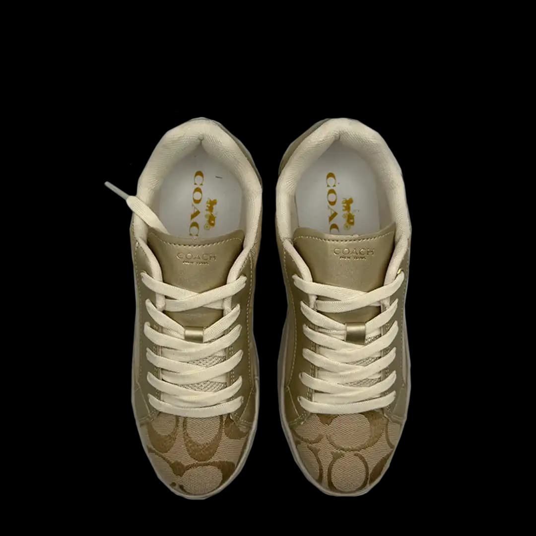 Coach Signature Cream